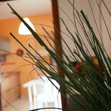 Casa Bellavista *